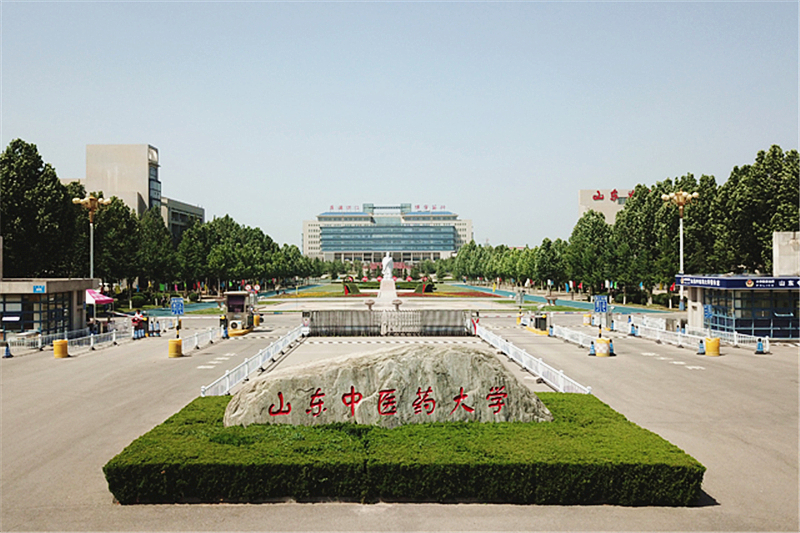 山东中医药大学 山东中医药大学